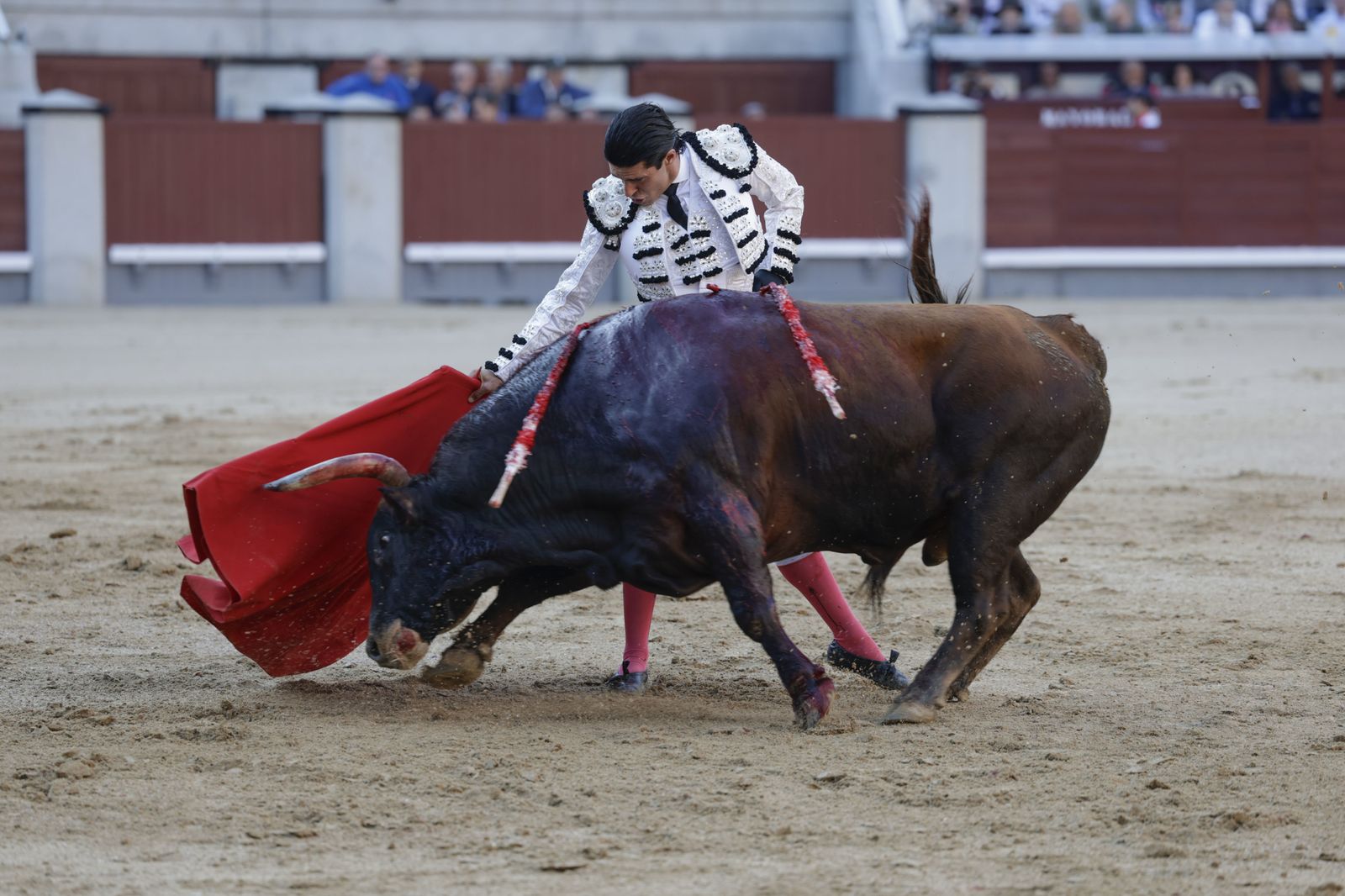 Alejandro Talavante en Las Ventas