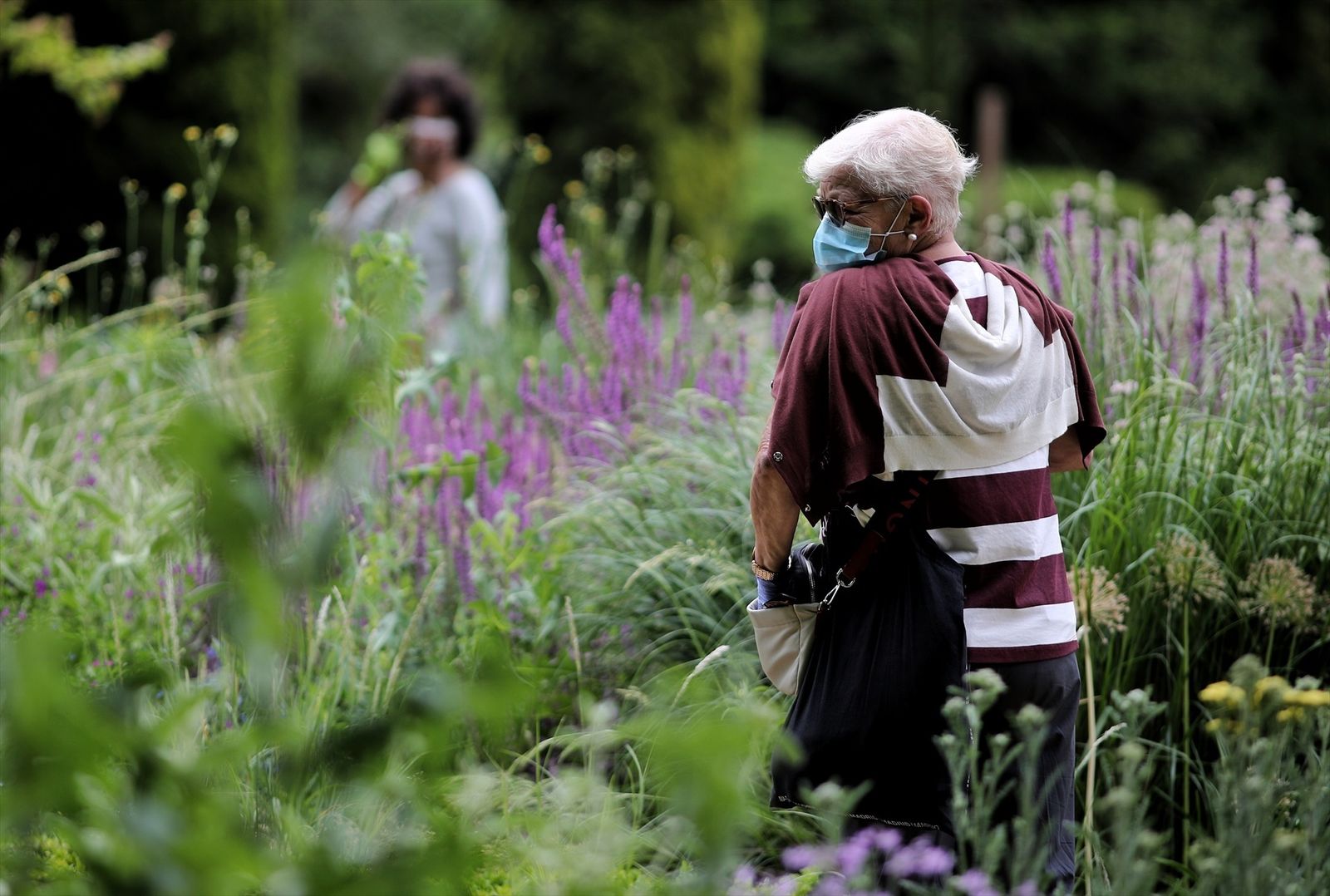 Dos visitantes pasean por el  Real Jardín Botánico de Madrid