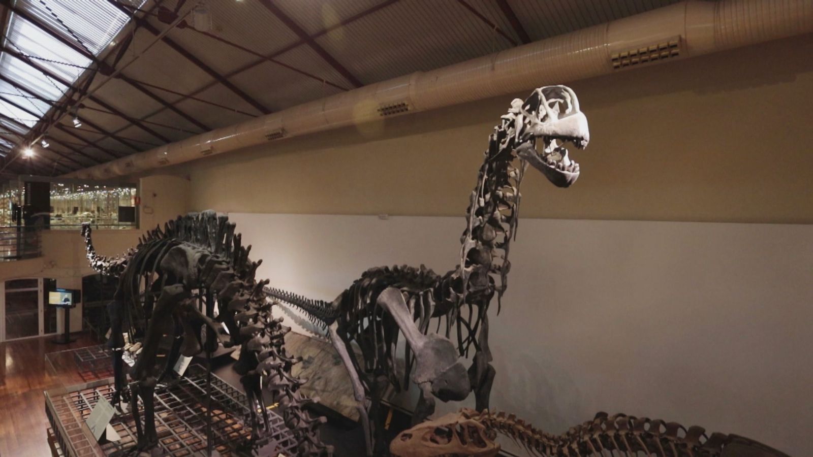 Esqueletos de dinosaurio en el Museo Nacional de Ciencias Naturales