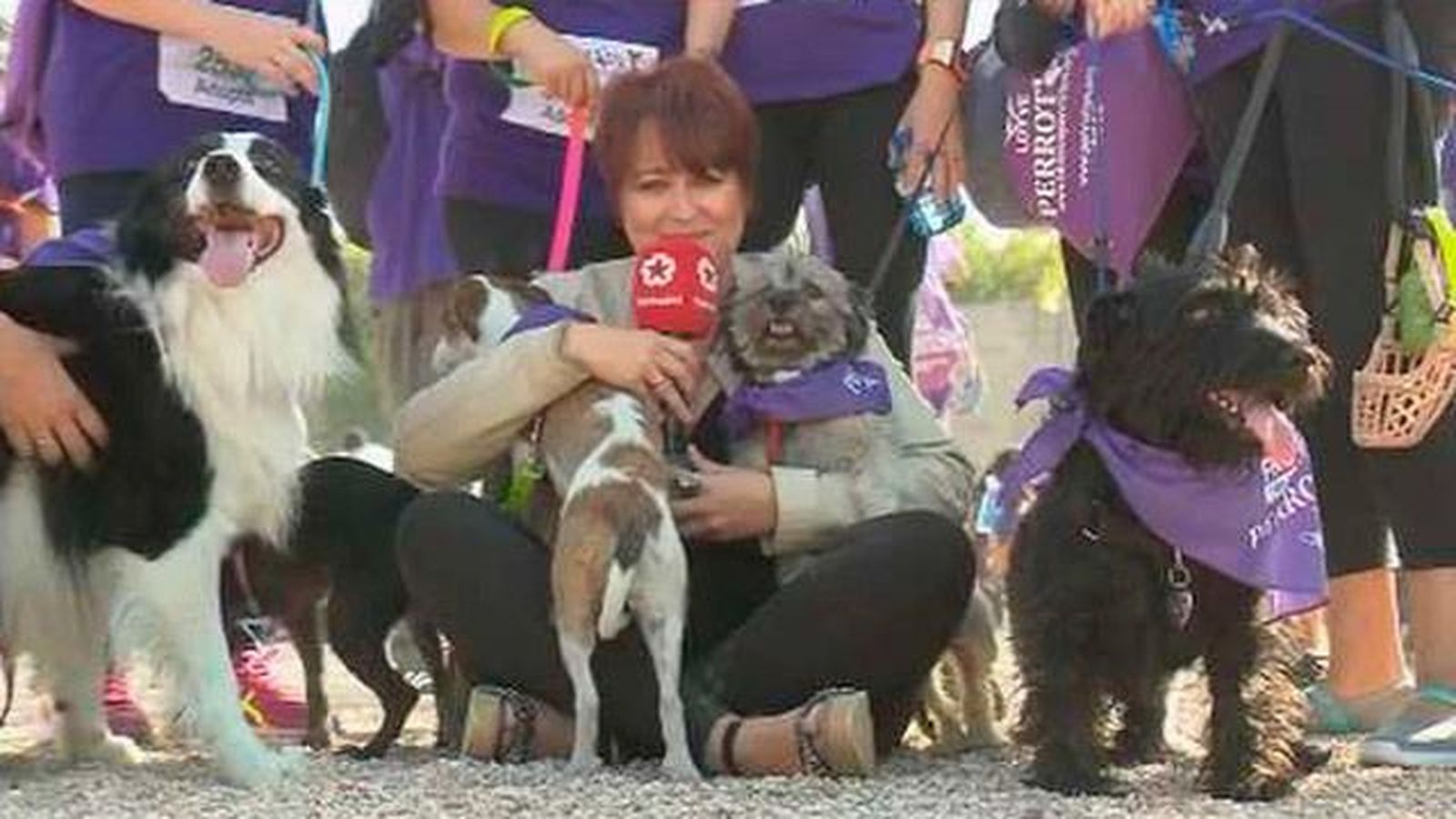 Más de 4.000 personas participan en la carrera Perrotón que aboga por la adopción responsable