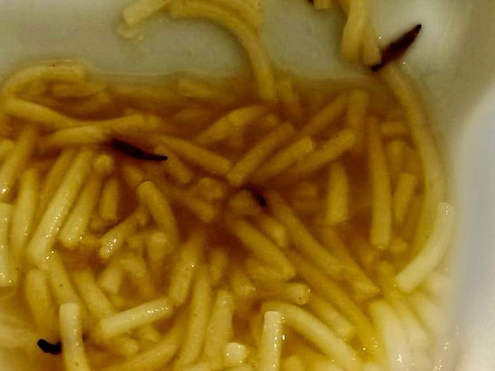 Larvas en la sopa en el Hospital de León