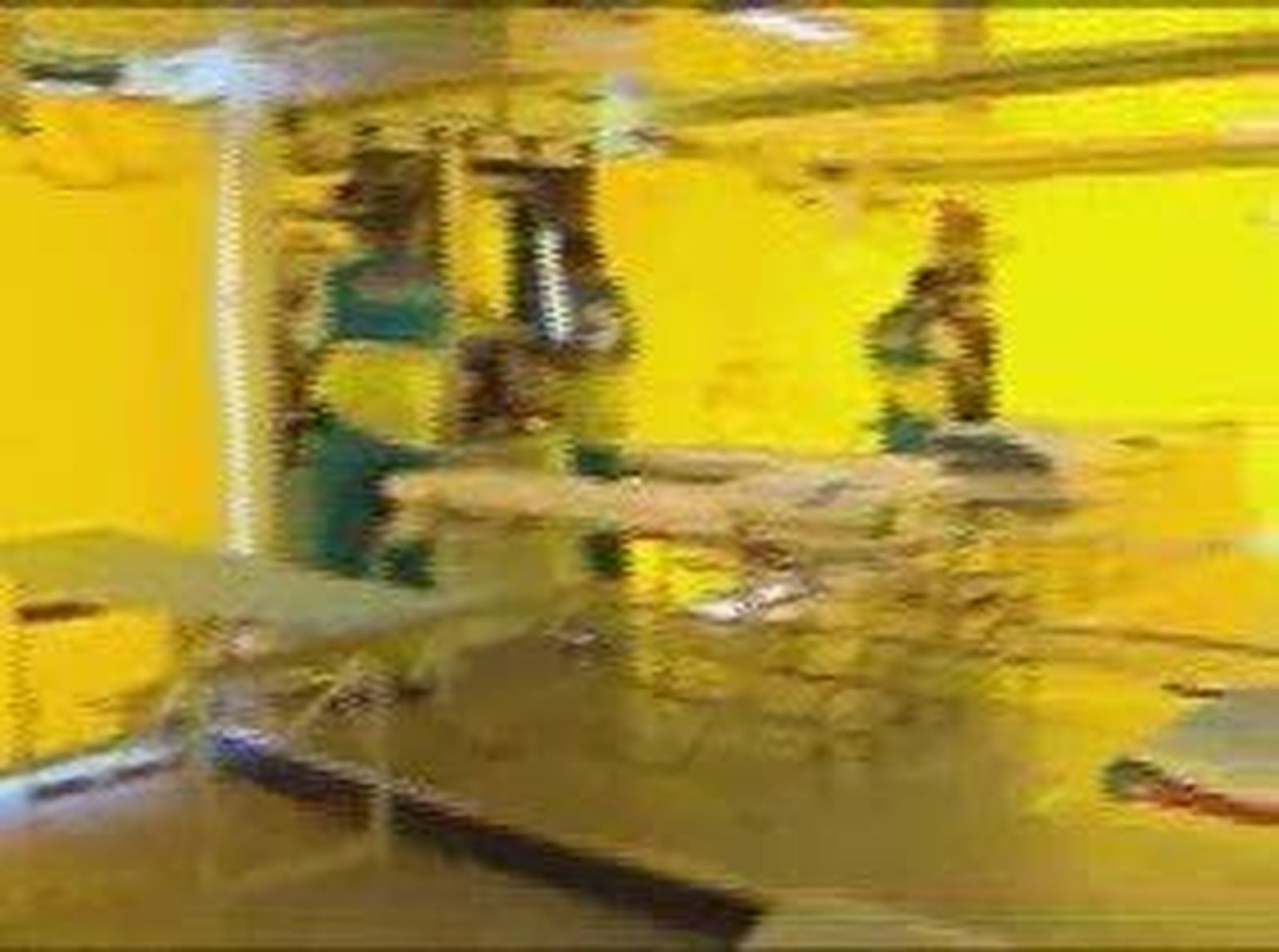 sanse_2010825V0.wmv