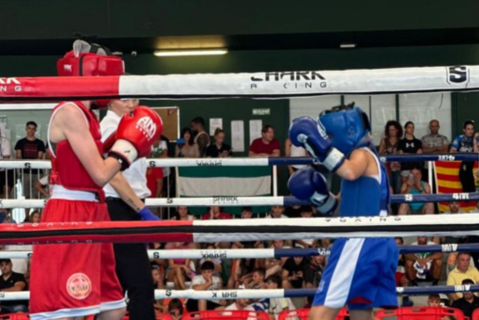 Torneo Internacional de Arganda