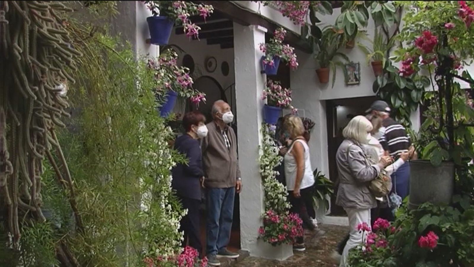 Córdoba ya luce sus patios más floridos, una fiesta patrimonio de la Humanidad