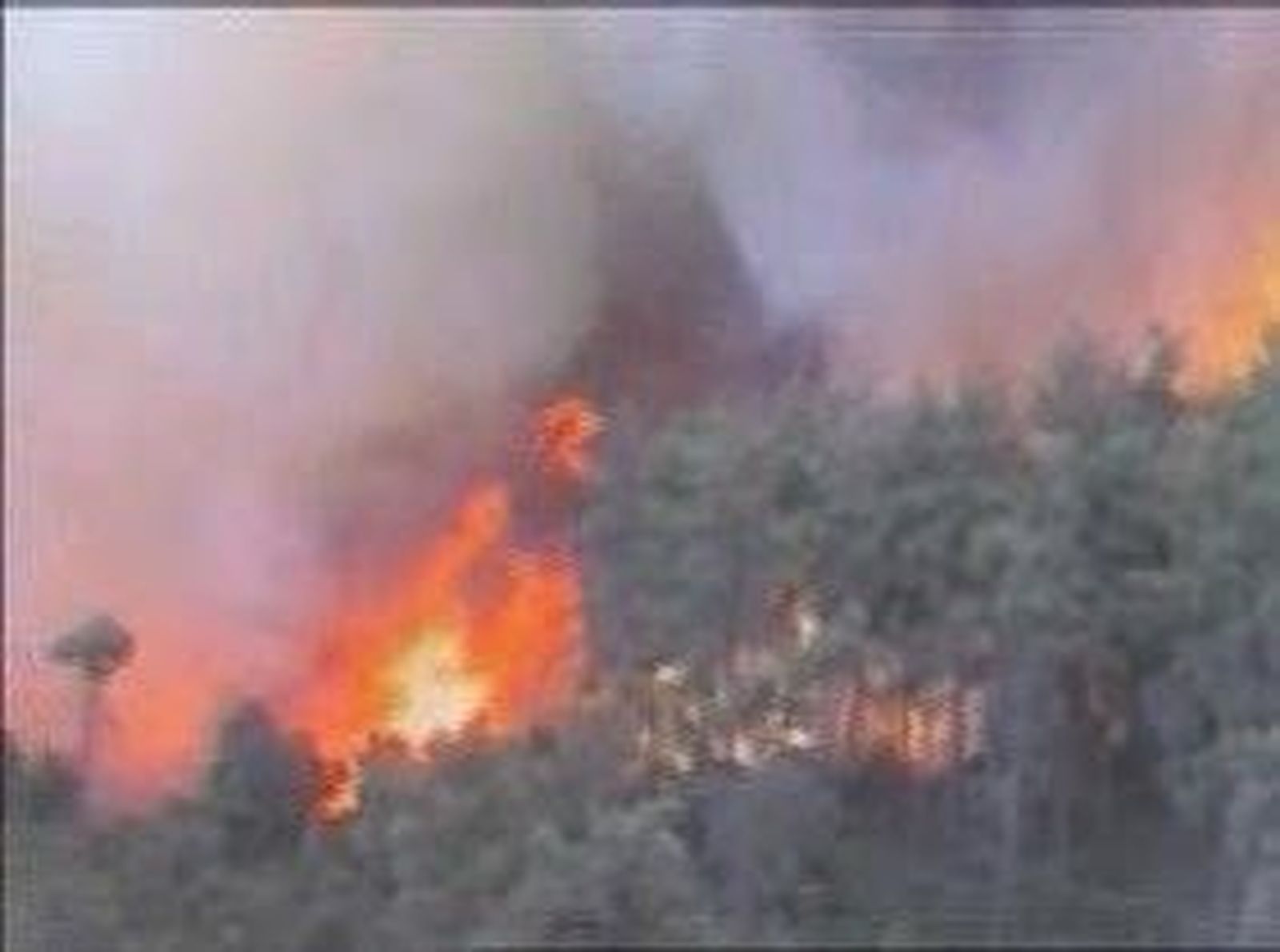 Incendio en Israel