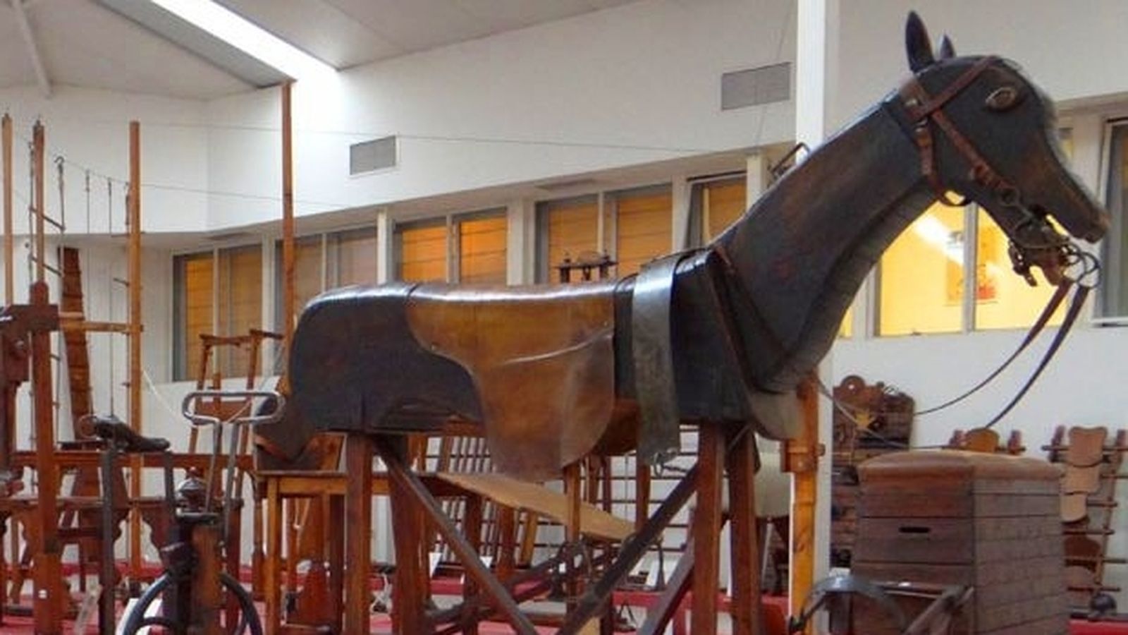 'Potro' en el museo INEF
