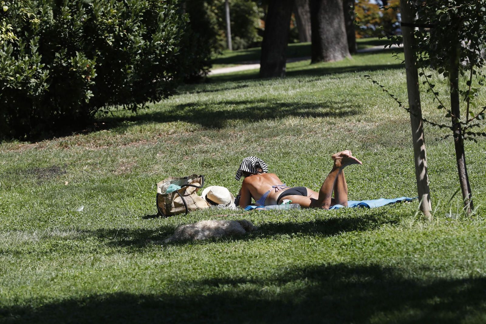 Madrid recibe la cuarta ola de calor con temperaturas de hasta 40 grados