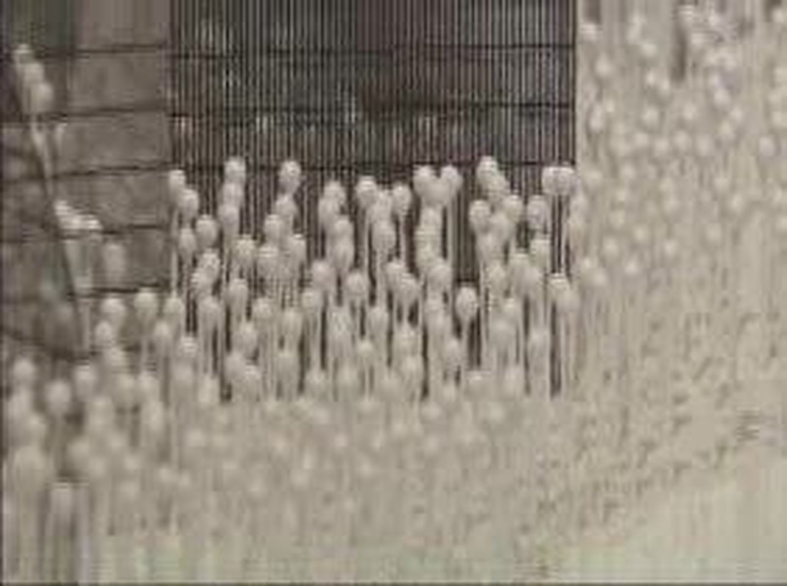 maquetas_201154V0.wmv
