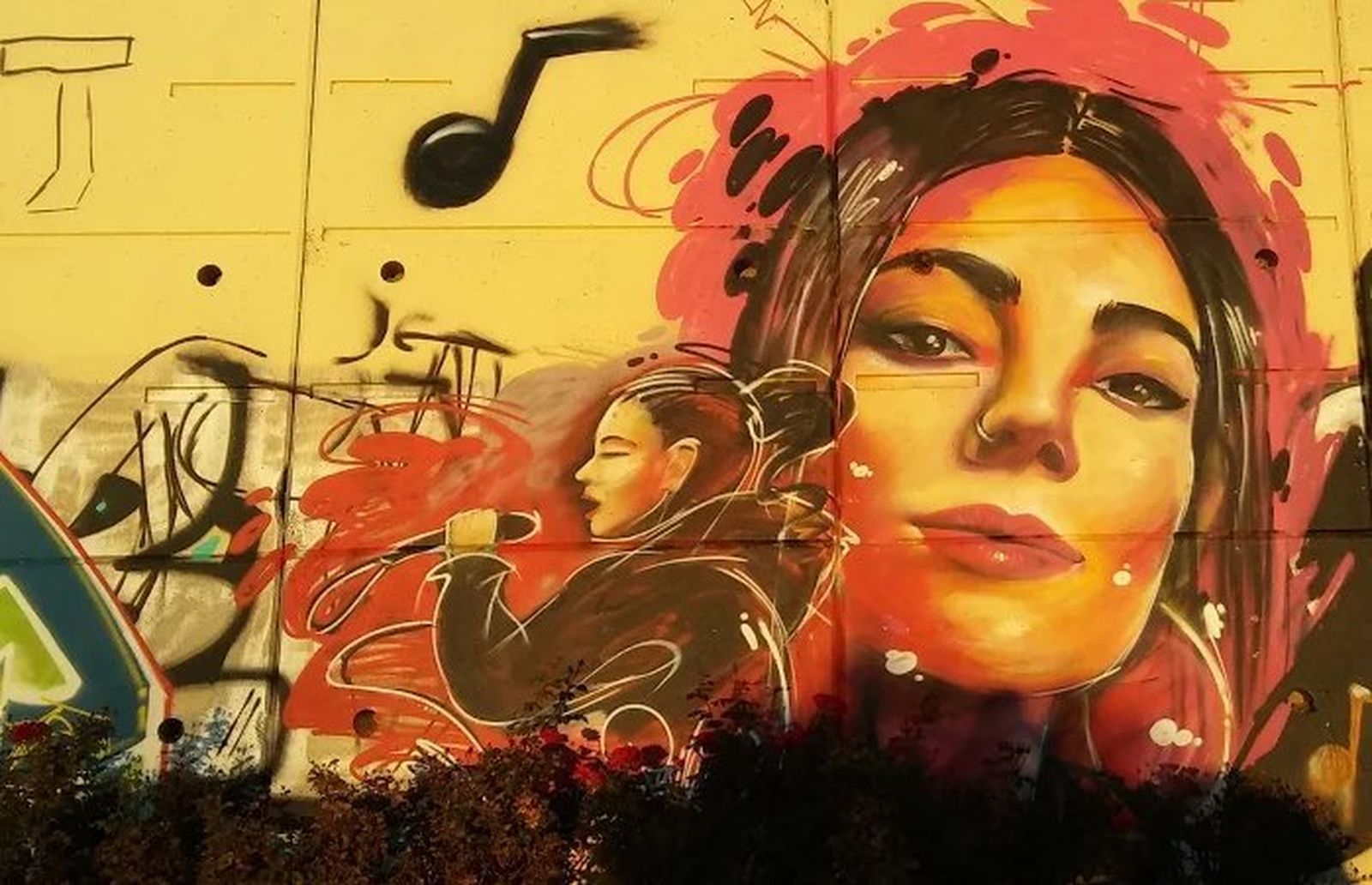 Grafiti de Gata Cattana