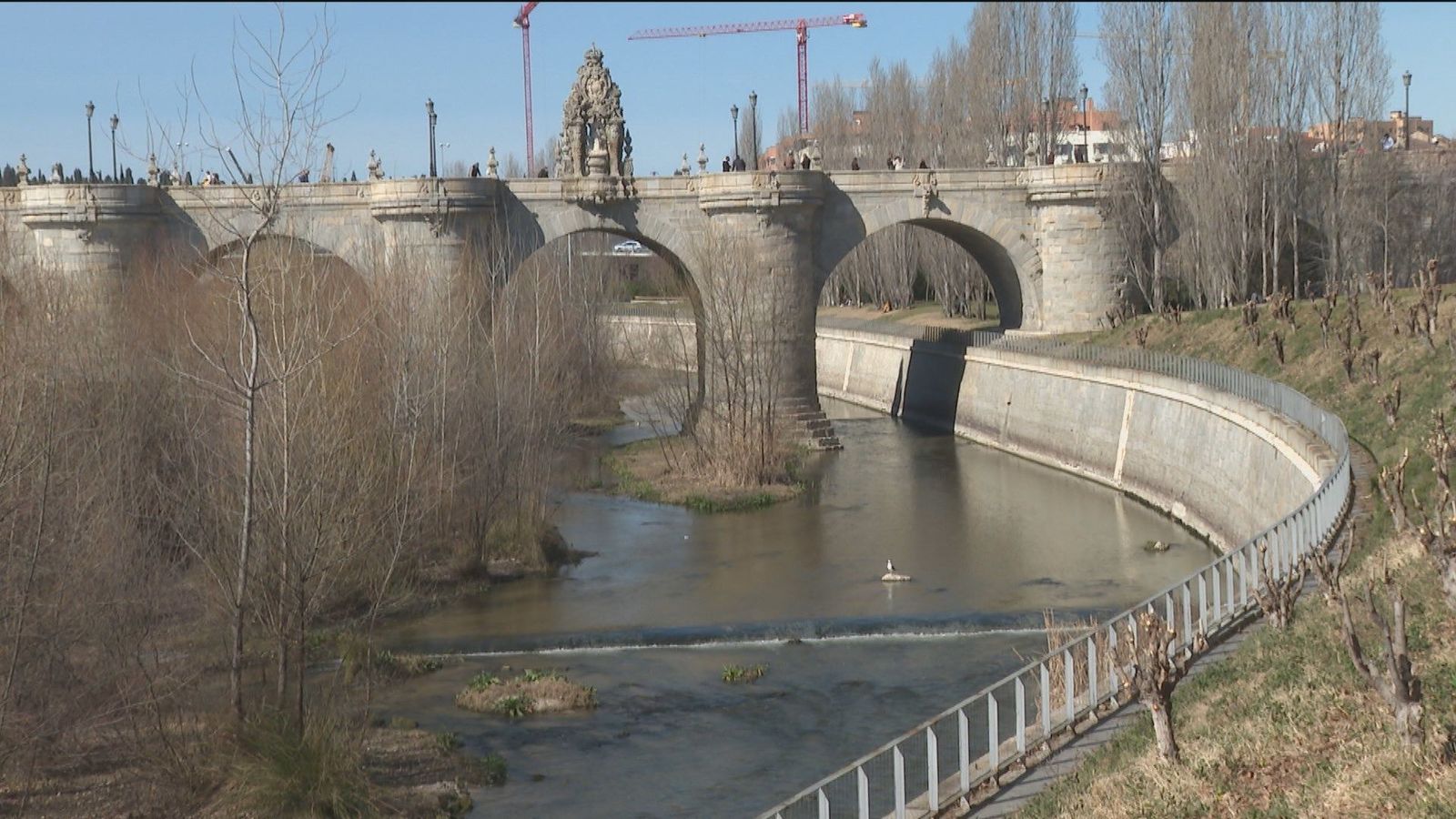El Manzanares, el río europeo con más medicamentos en sus aguas