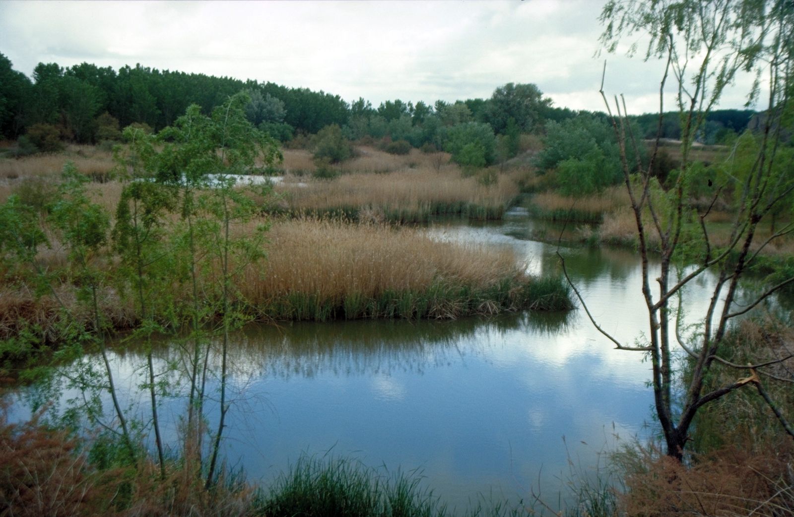Parque regional del Sureste