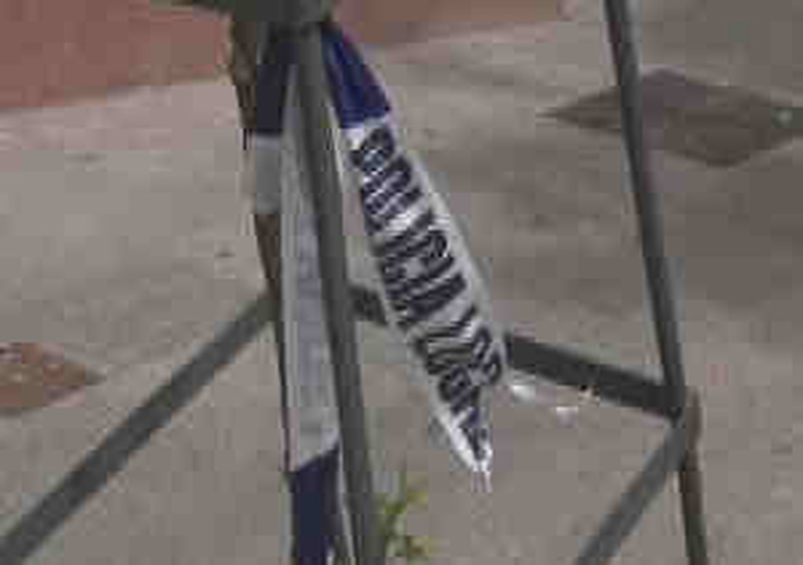 Policia Jaen
