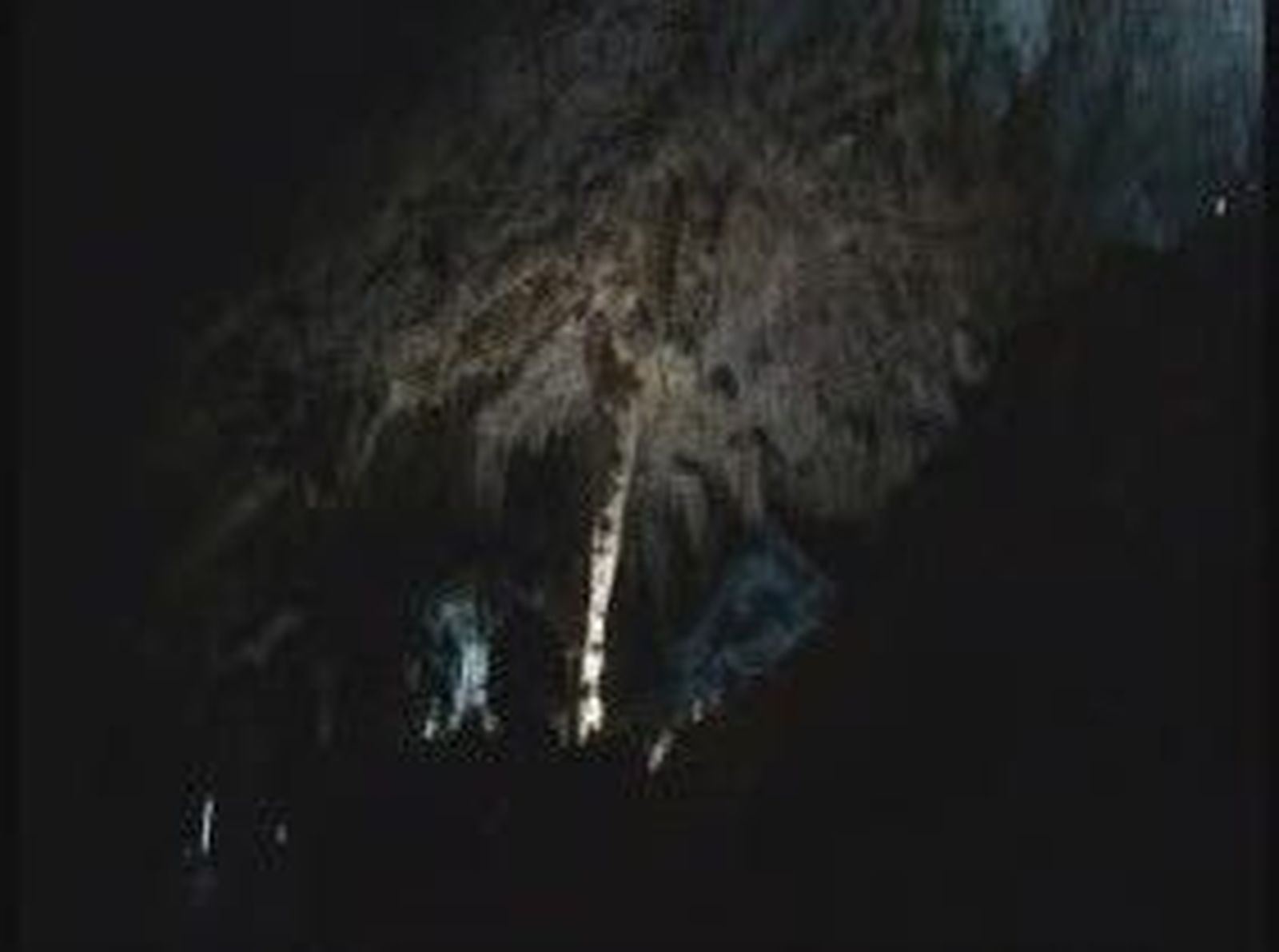 Espeleologia_201010