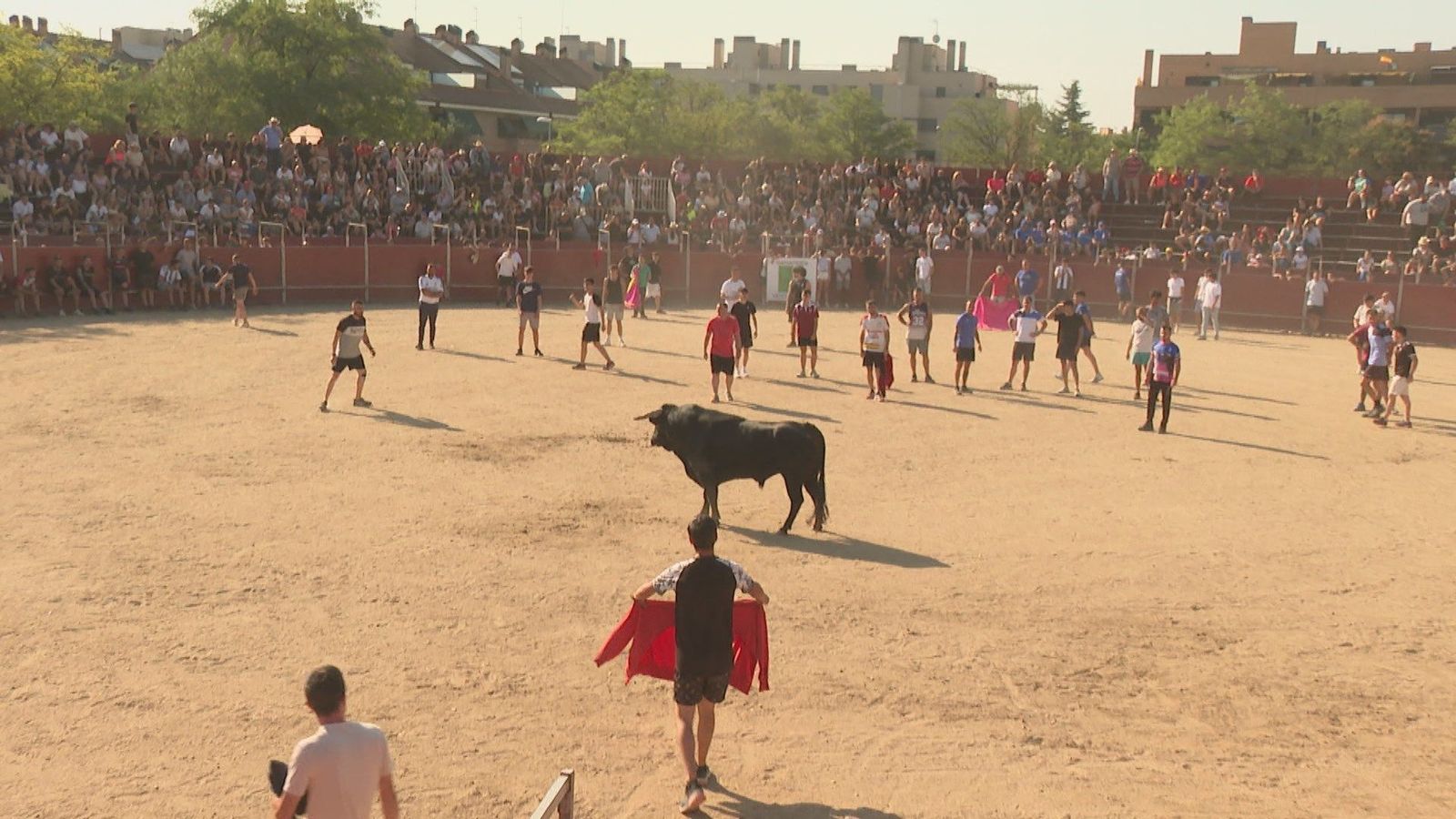 17 municipios de Madrid recuperan los festejos taurinos en sus fiestas