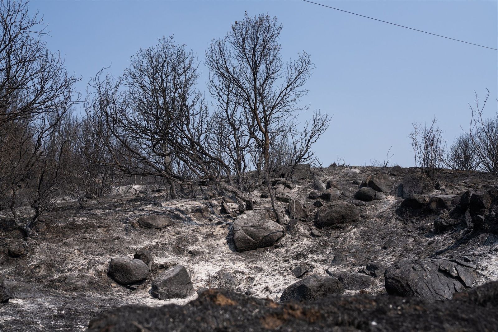 La problemática de los incendios en España: cambio de prácticas en el campo y propiedad forestal privada