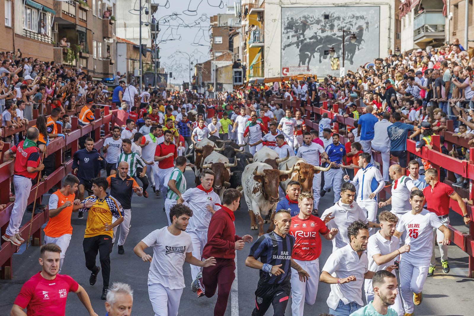Un momento del séptimo encierro matutino de San Sebastián de los Reyes