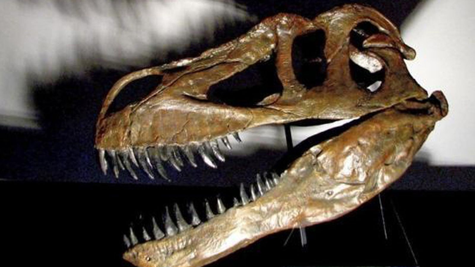 dinosaurio_3245
