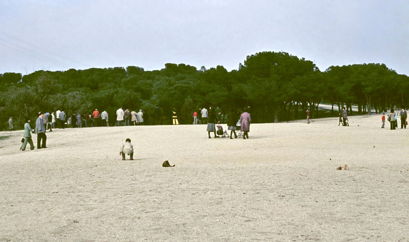 Dehesa de la Villa en 1975