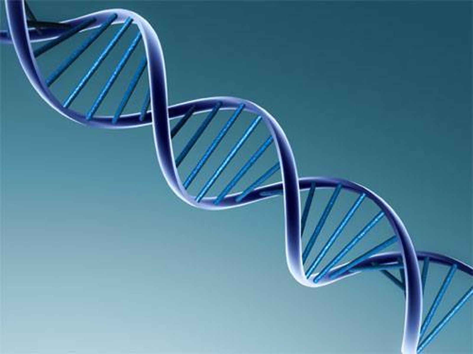 genetica_adn