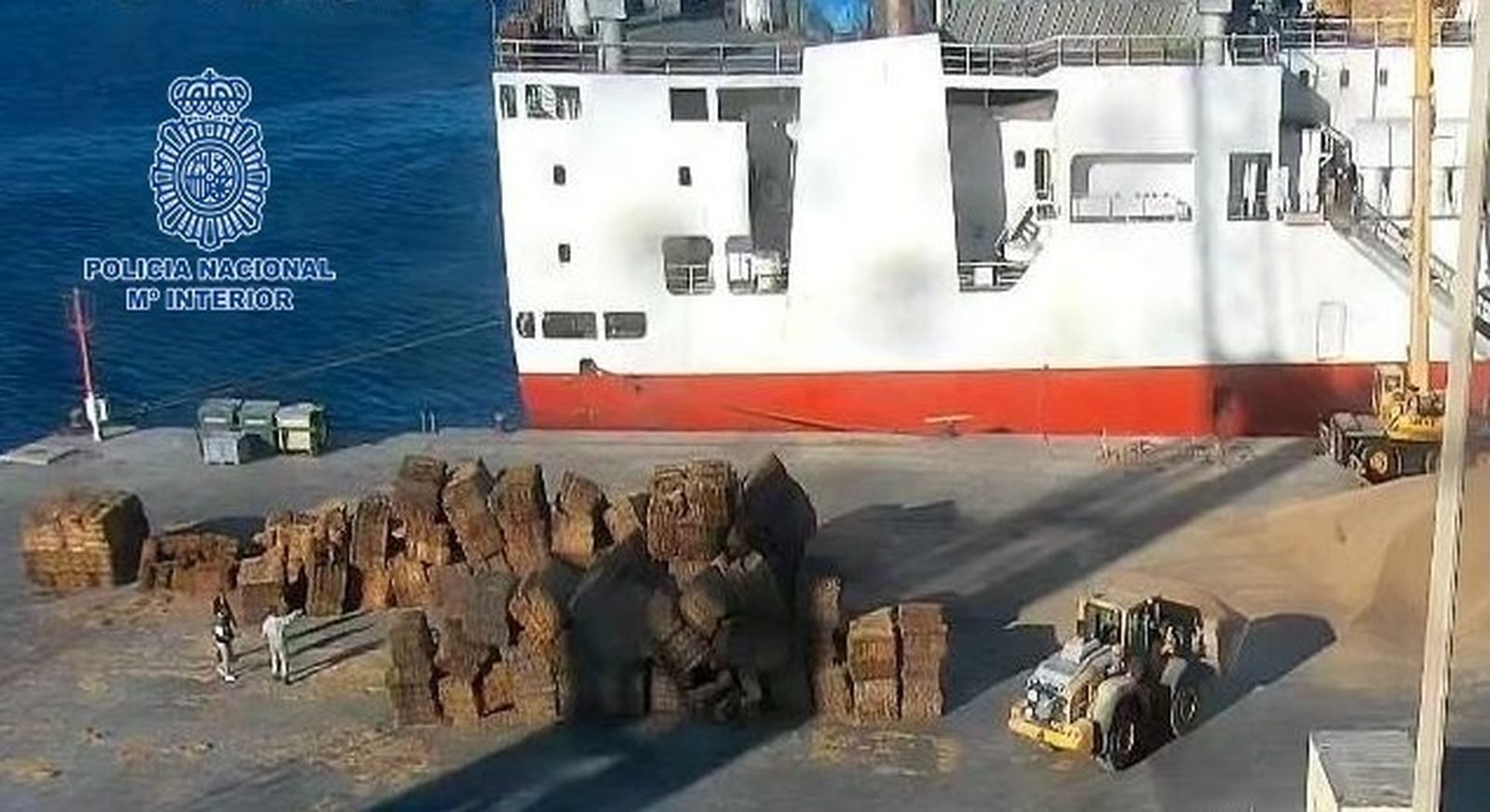 Imagen de la intervención policial en el puerto de Cartagena