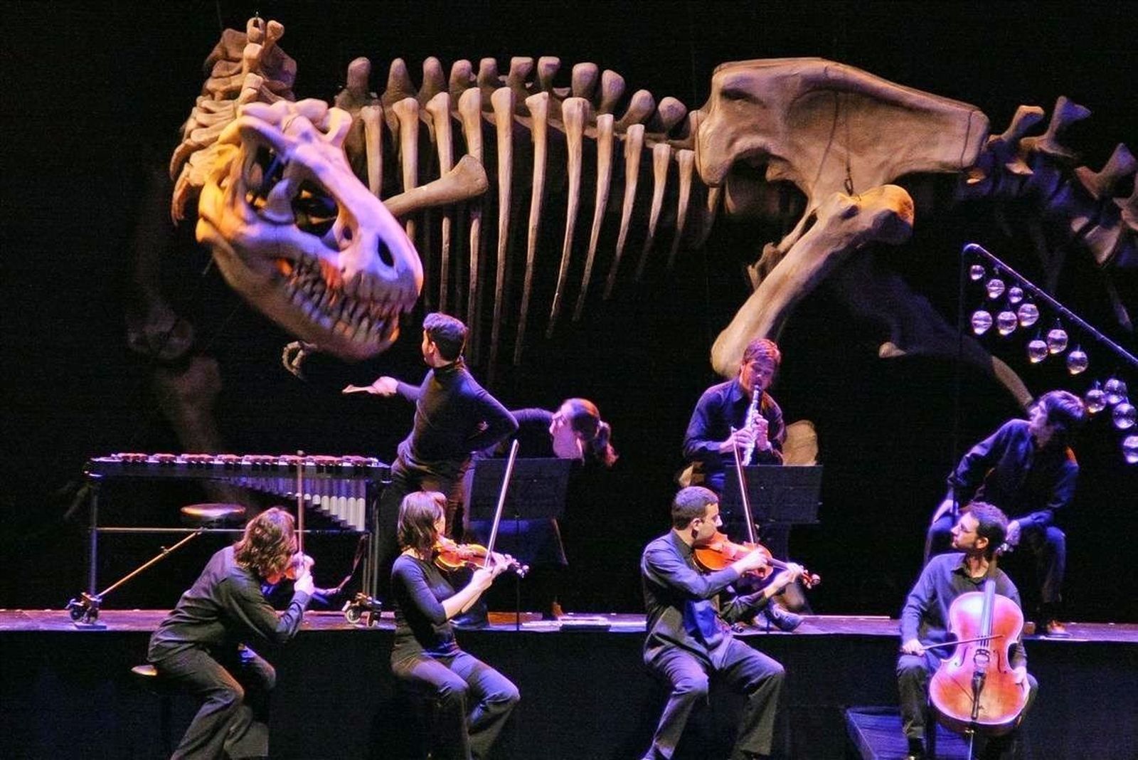 'Soñando con el carnaval de los animales' en el Teatro Español