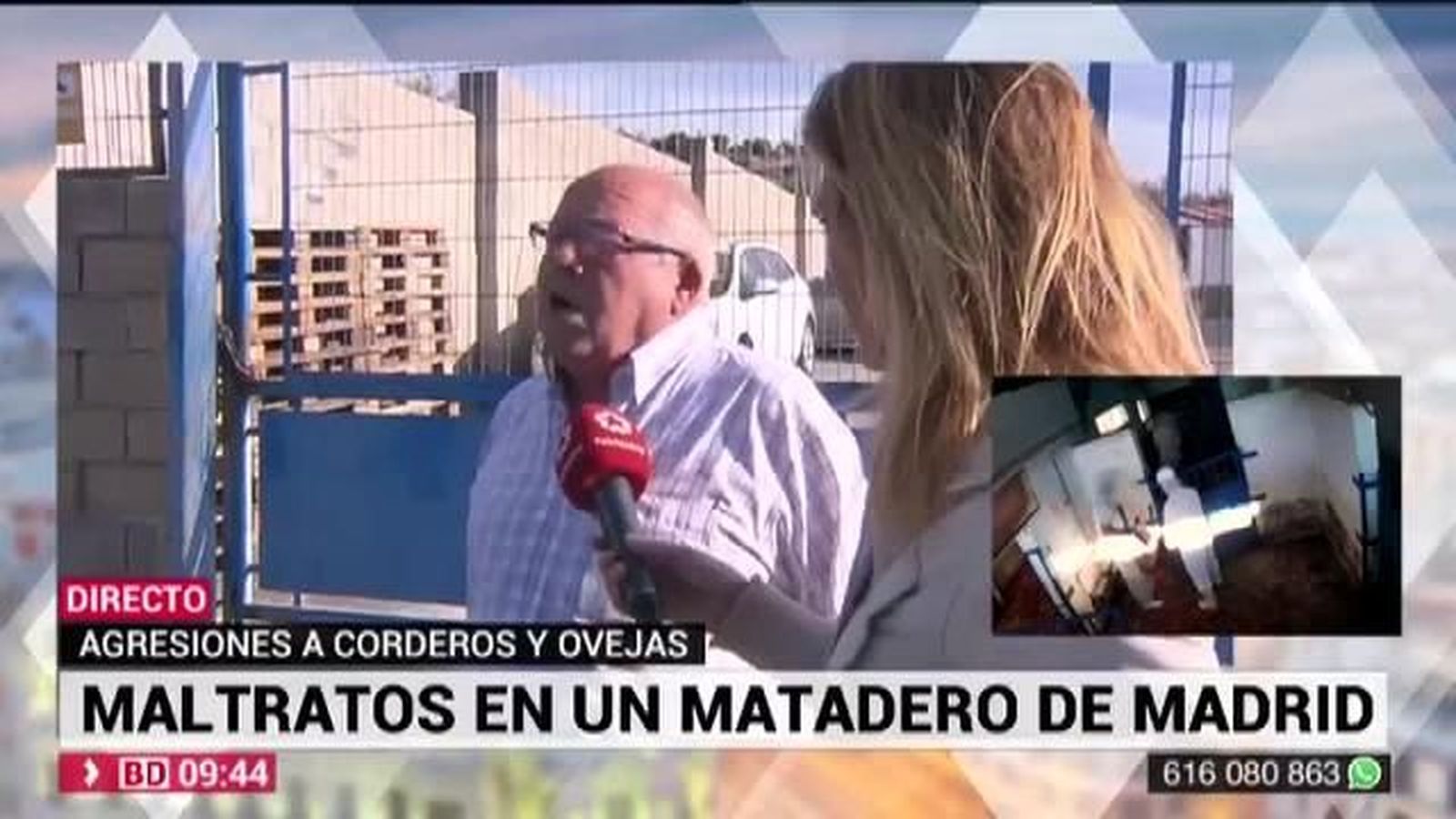 El dueño del matadero de Villarejo se defiende: "Es todo mentira"