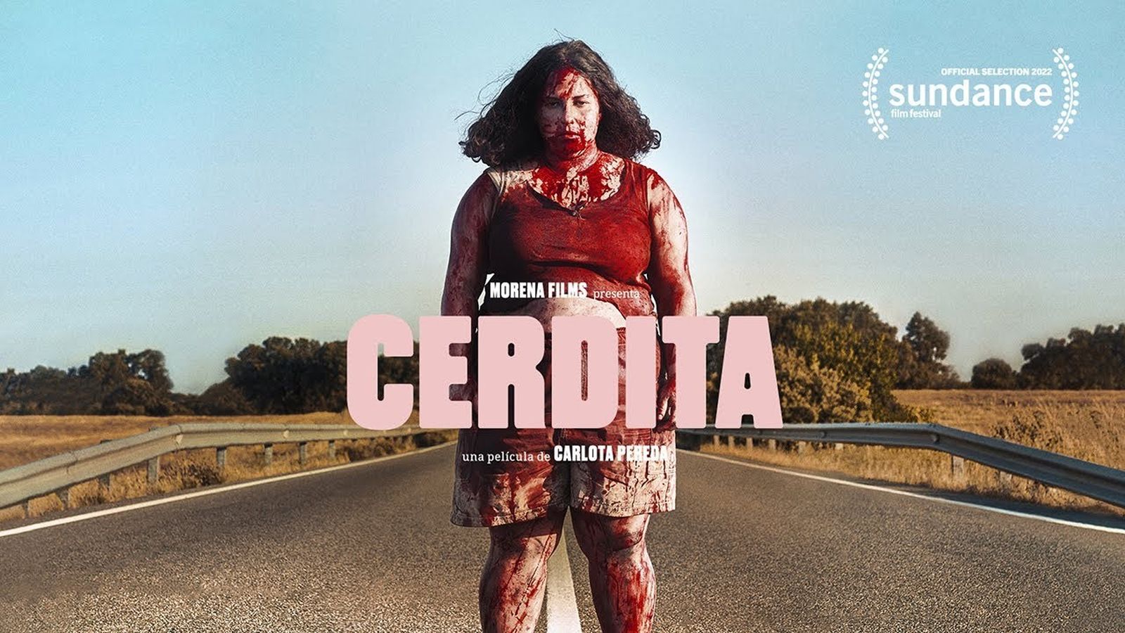 Cartel de la película