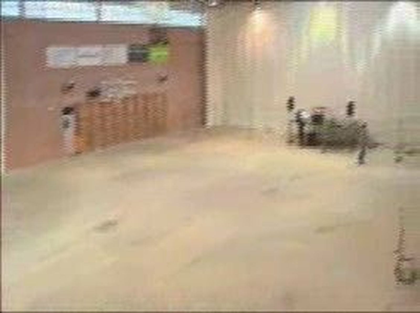 macrofiestas_31_20101231V0.wmv