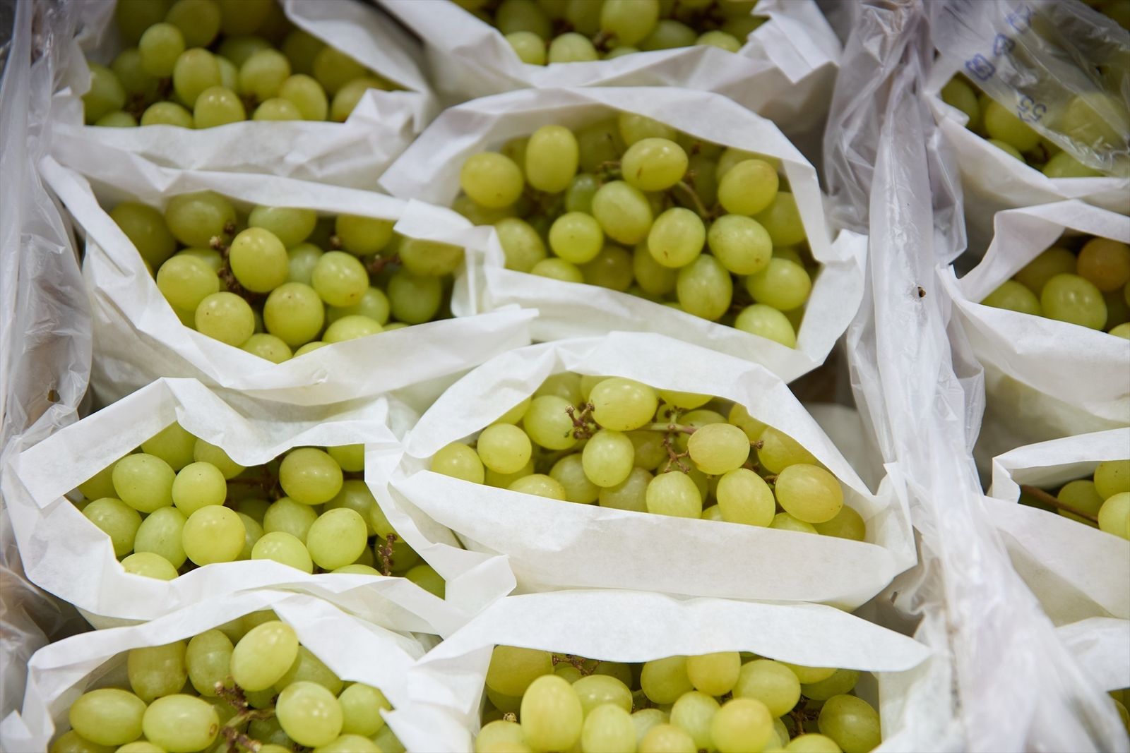 Racimos de uvas en un expositor de una frutería en un mercado