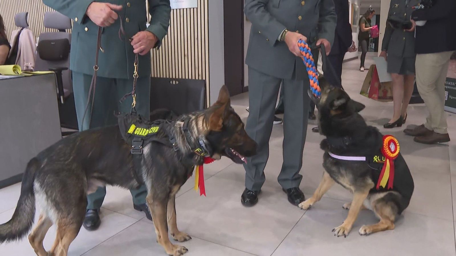 Los perros de la Guardia Civil se jubilan y son homenajeados
