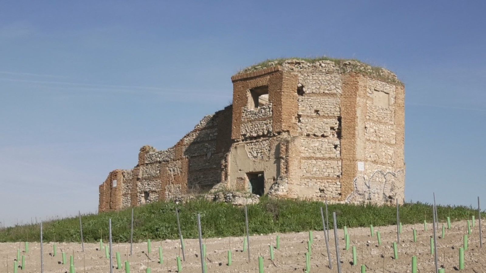 La Cooperativa Vinícola de Arganda recupera el entorno de la Emita de Viches