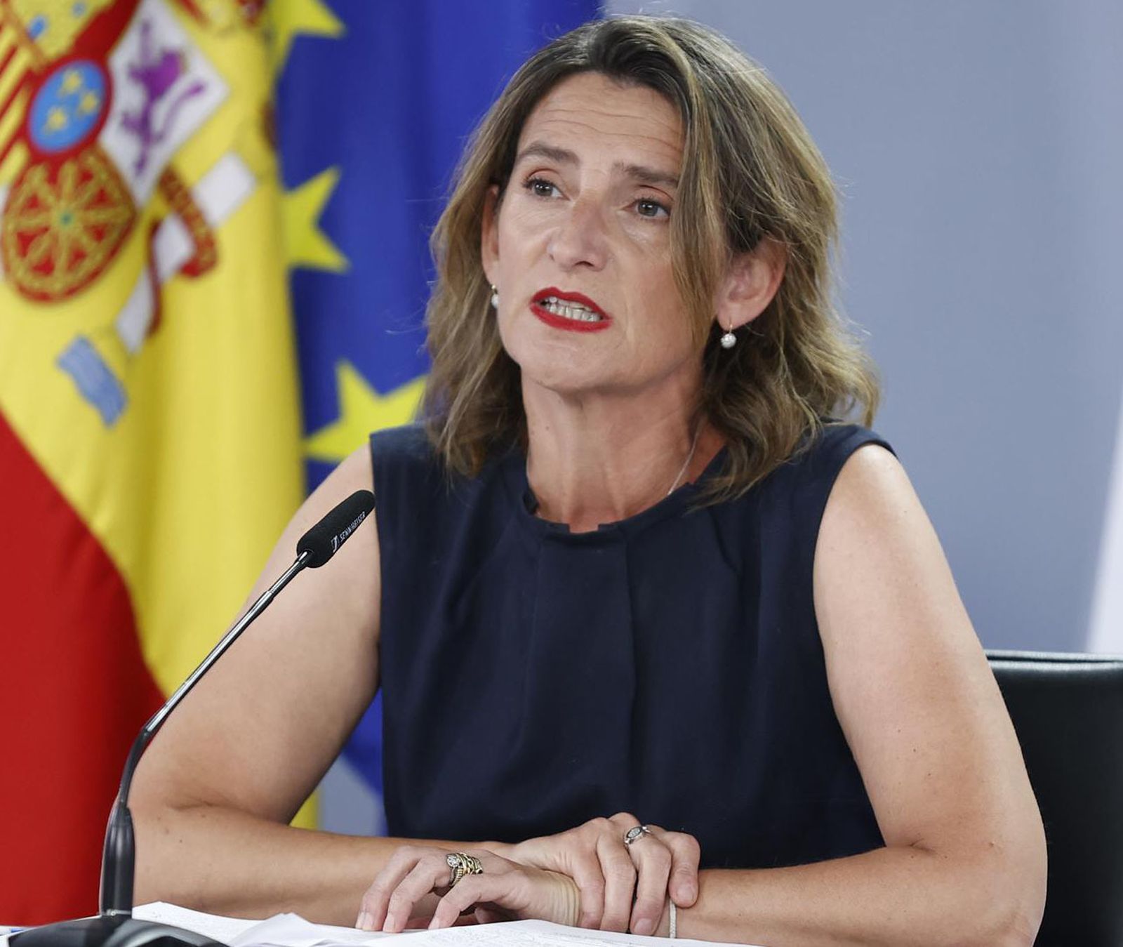 Teresa Ribera declarando