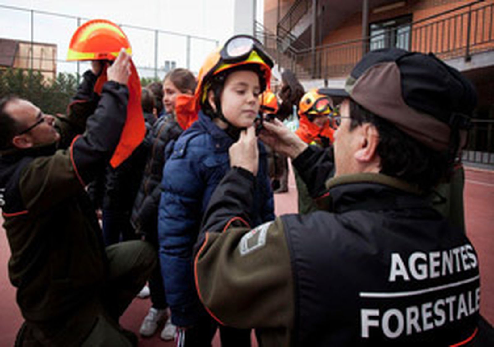 Agentes forestales