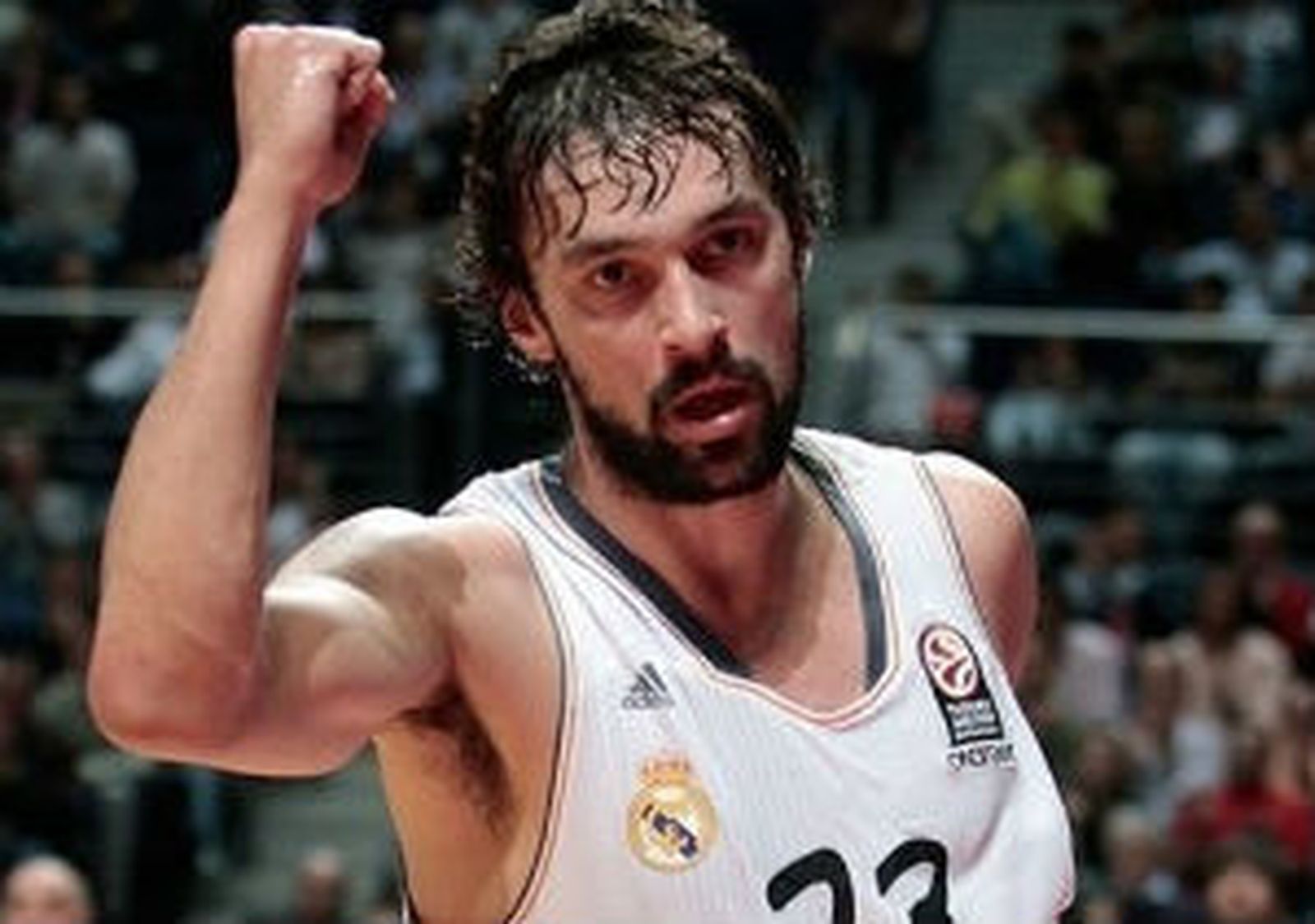 Sergio Llull