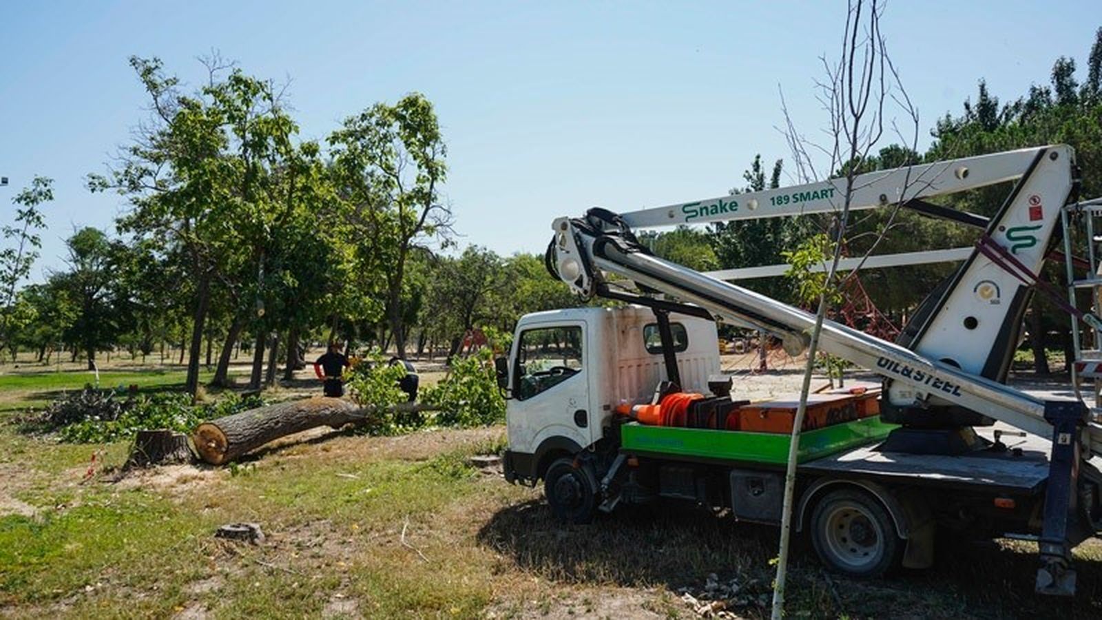 Operarios trabajando en el parque de El Soto