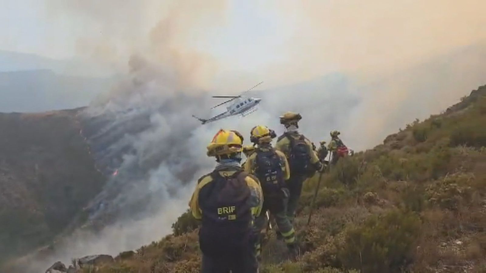 15 incendios continúan activos en España en nivel 2 : Zamora, León y Lugo, las zonas más afectadas
