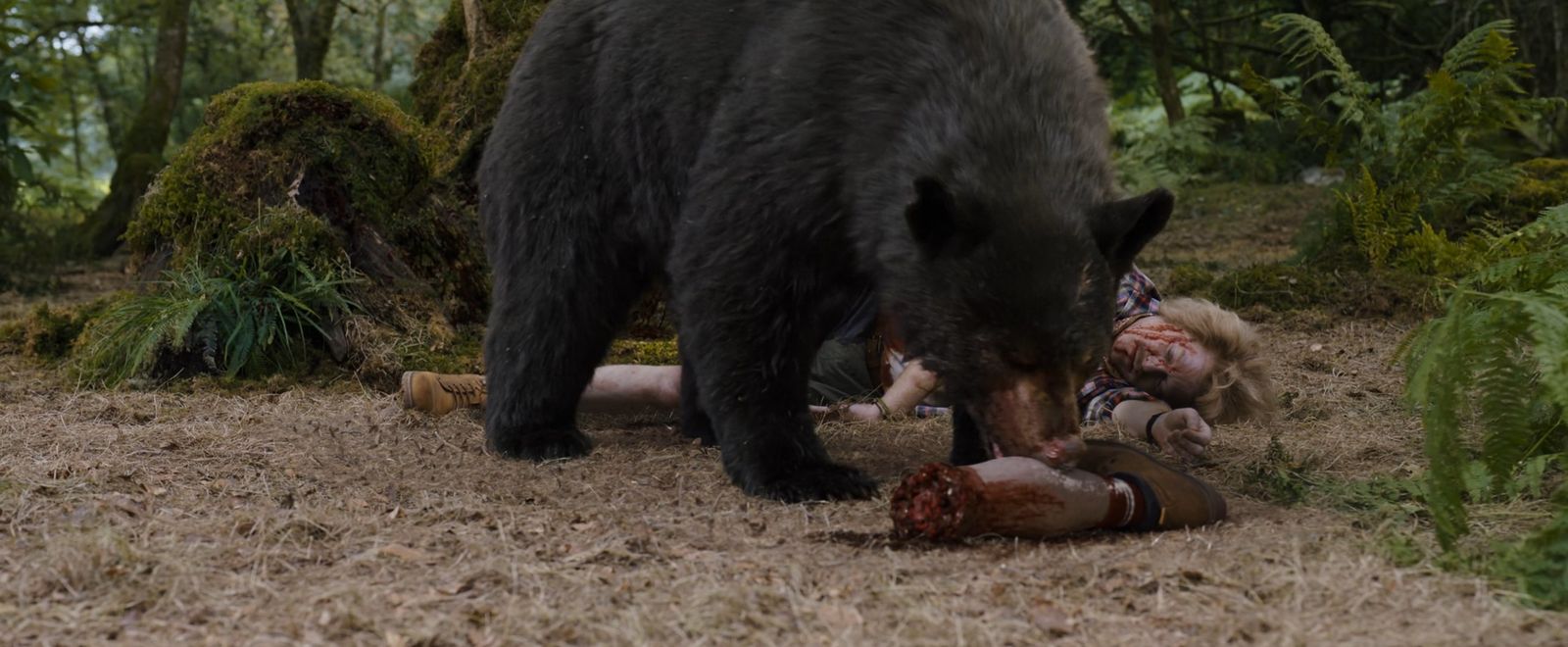 'Cocaine Bear'