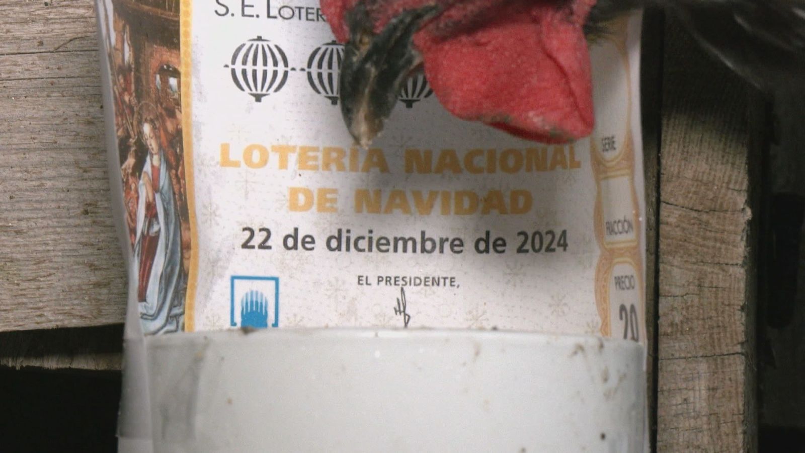 Pedrocha