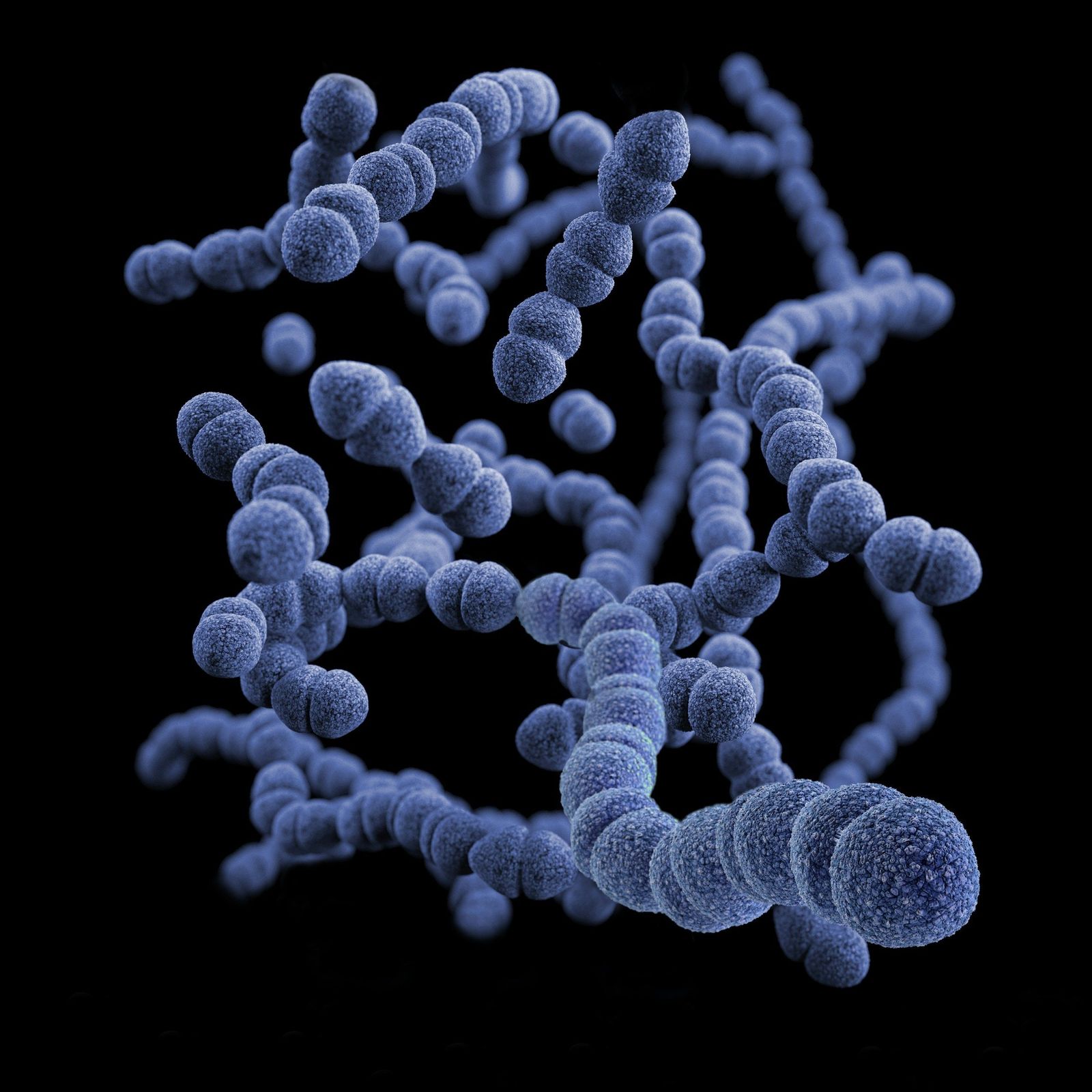 ¿Qué es la microbiota y qué función cumple dentro de nuestro organismo?