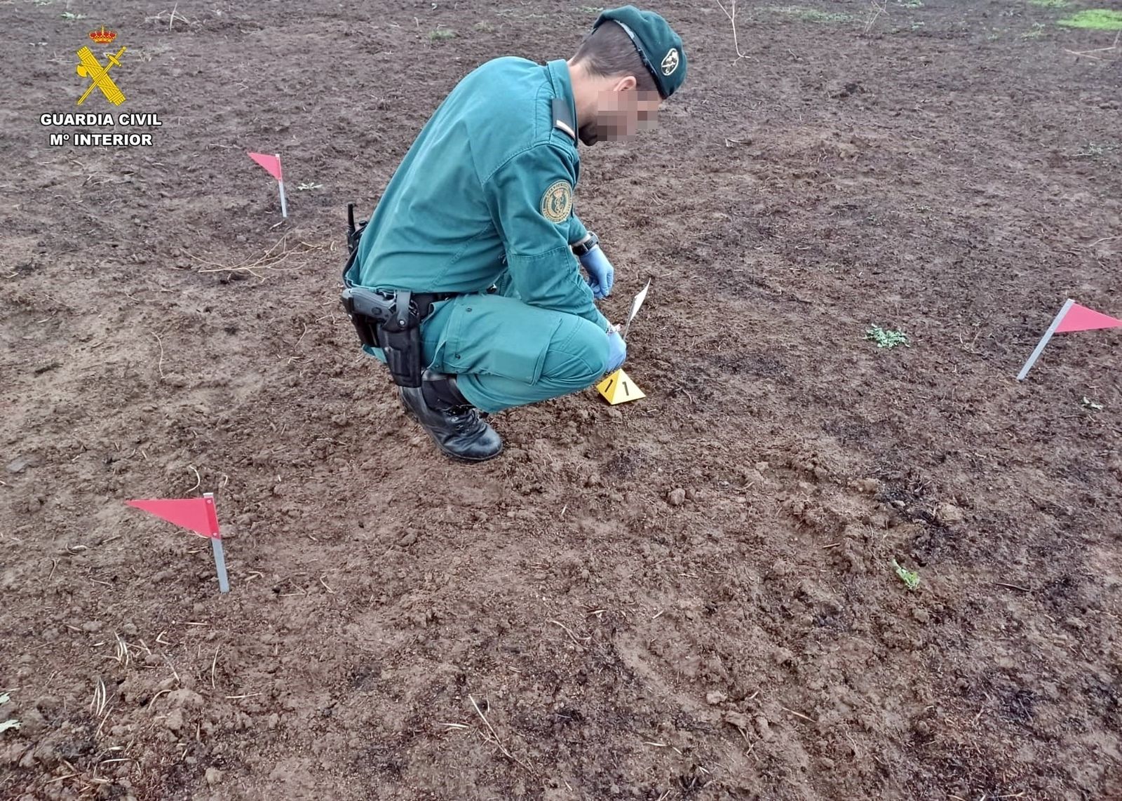 Un agente del Seprona de la Guardia Civil durante la investigación de un incendio forestal
