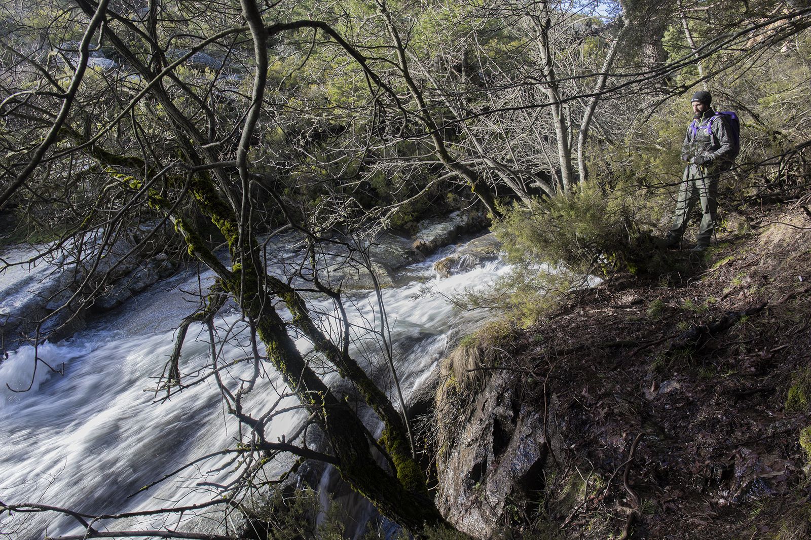 Imagen de la Sierra de GUadarrama