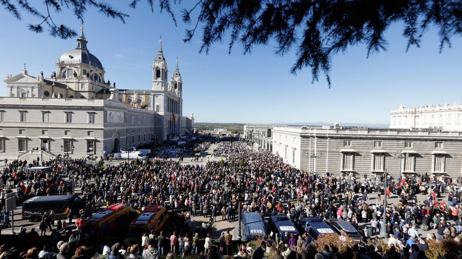Madrid recupera una Almudena casi normal y le pide ayuda para "relanzarse"