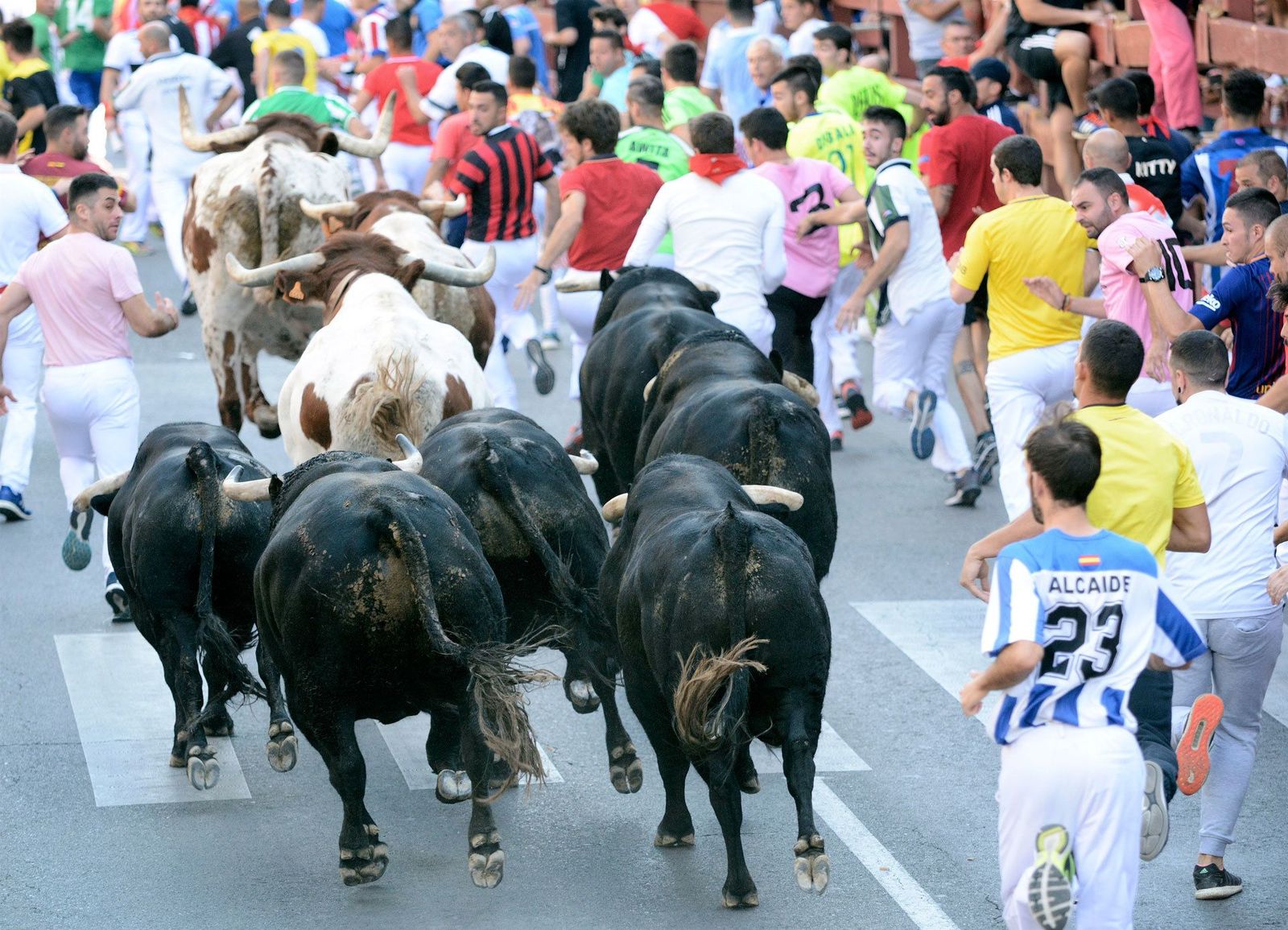 Fiestas con marcado sabor taurino en varias localidades de Madrid