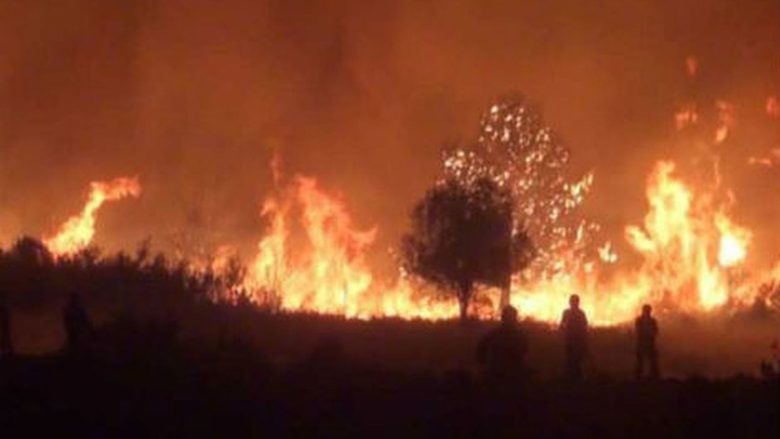 Incendio forestal