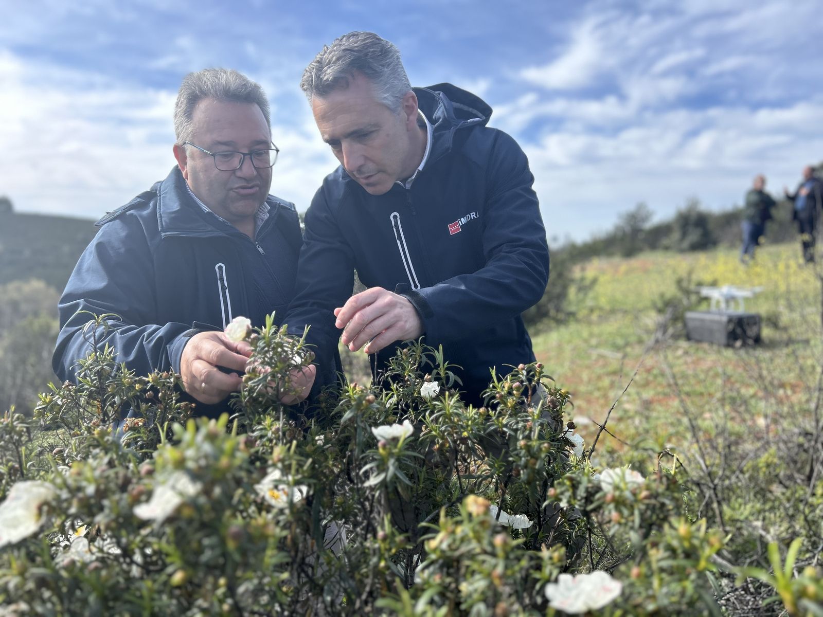 El consejero Carlos Novillo en un campo de jaras