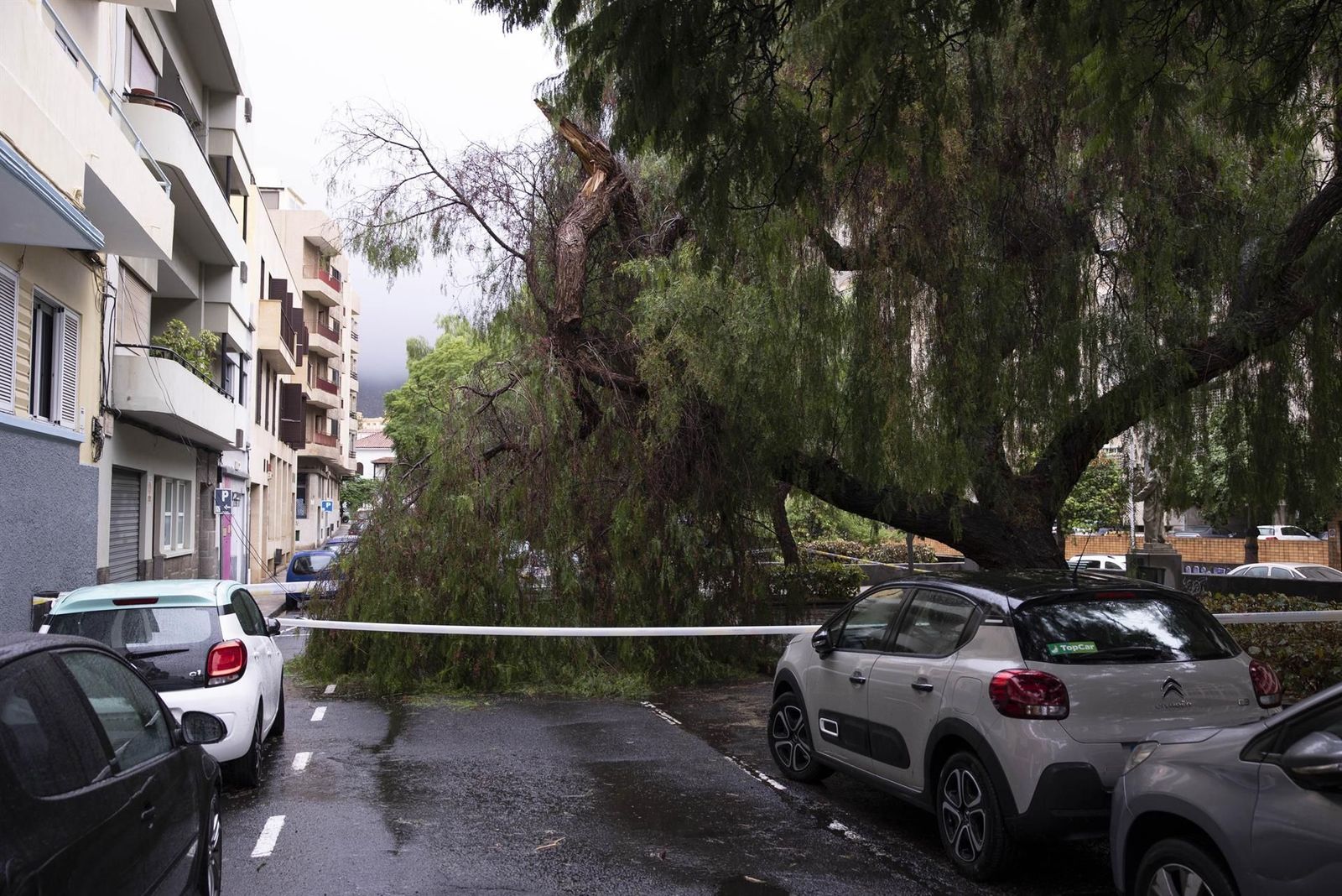 Hermine se debilita pero deja unas precipitaciones históricas y problemas de comunicaciones en Canarias