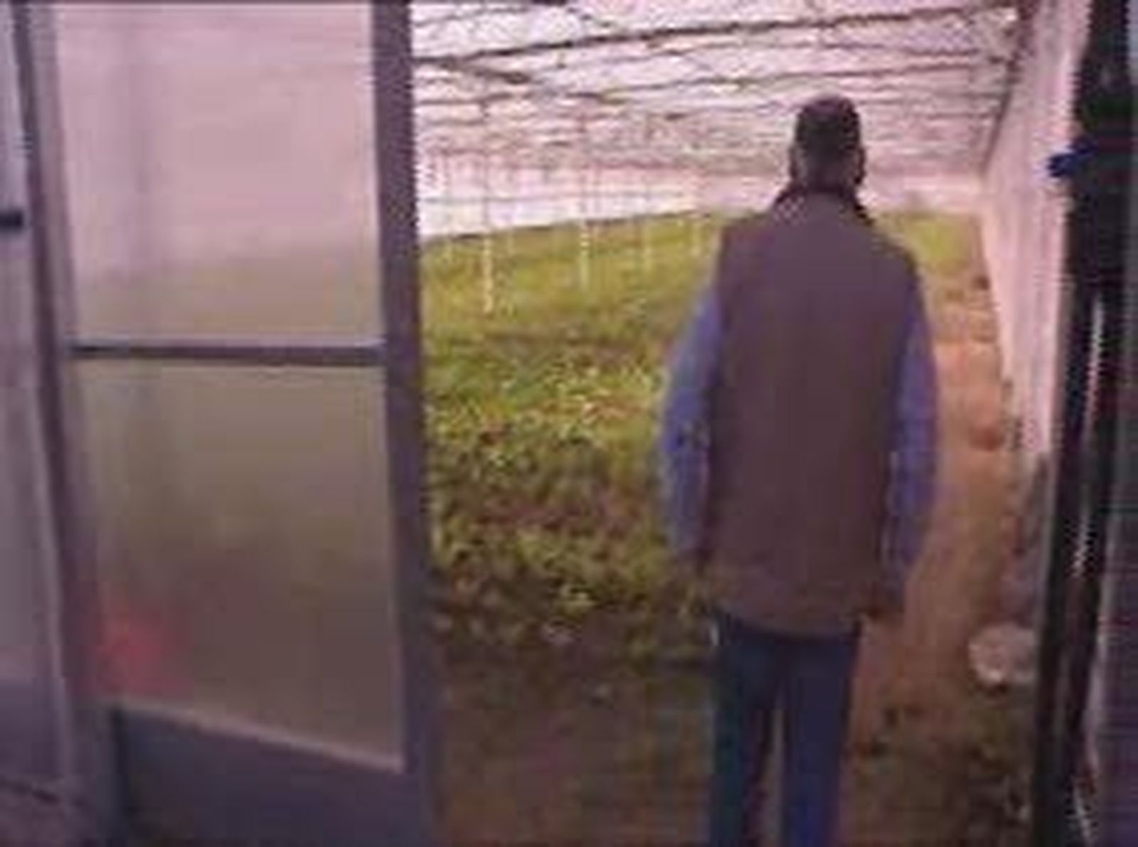 5campo_20101020V0.wmv