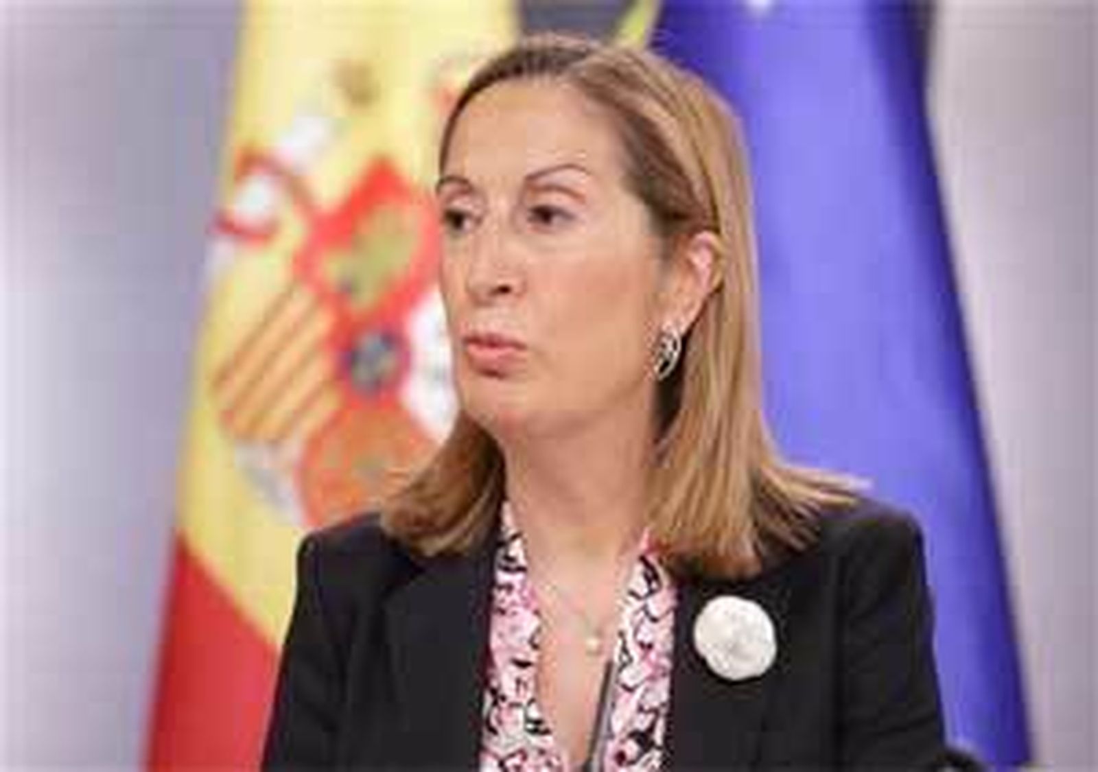 El Gobierno reordena el transporte por carretera