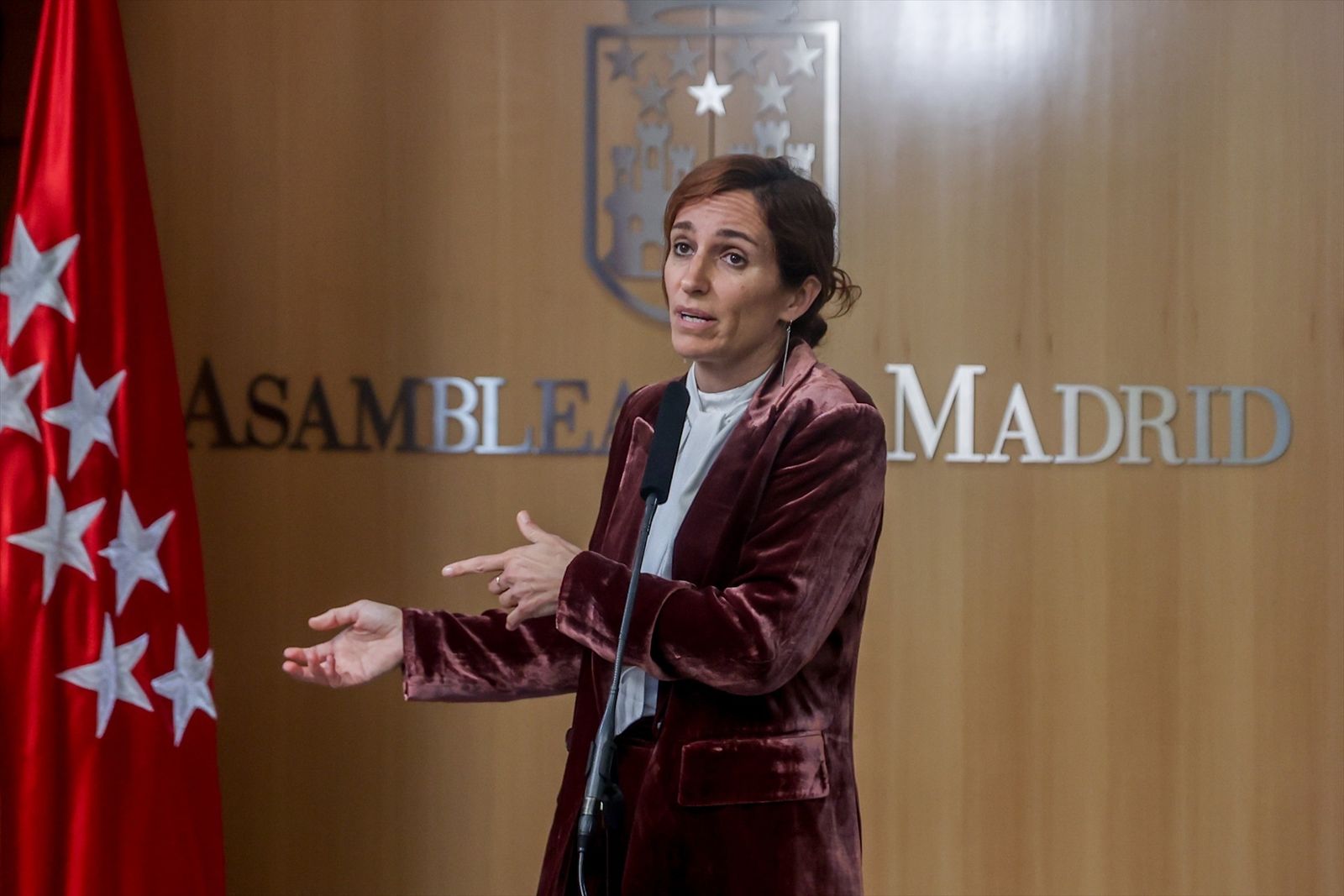 La portavoz de Más Madrid en la Asamblea, Mónica García