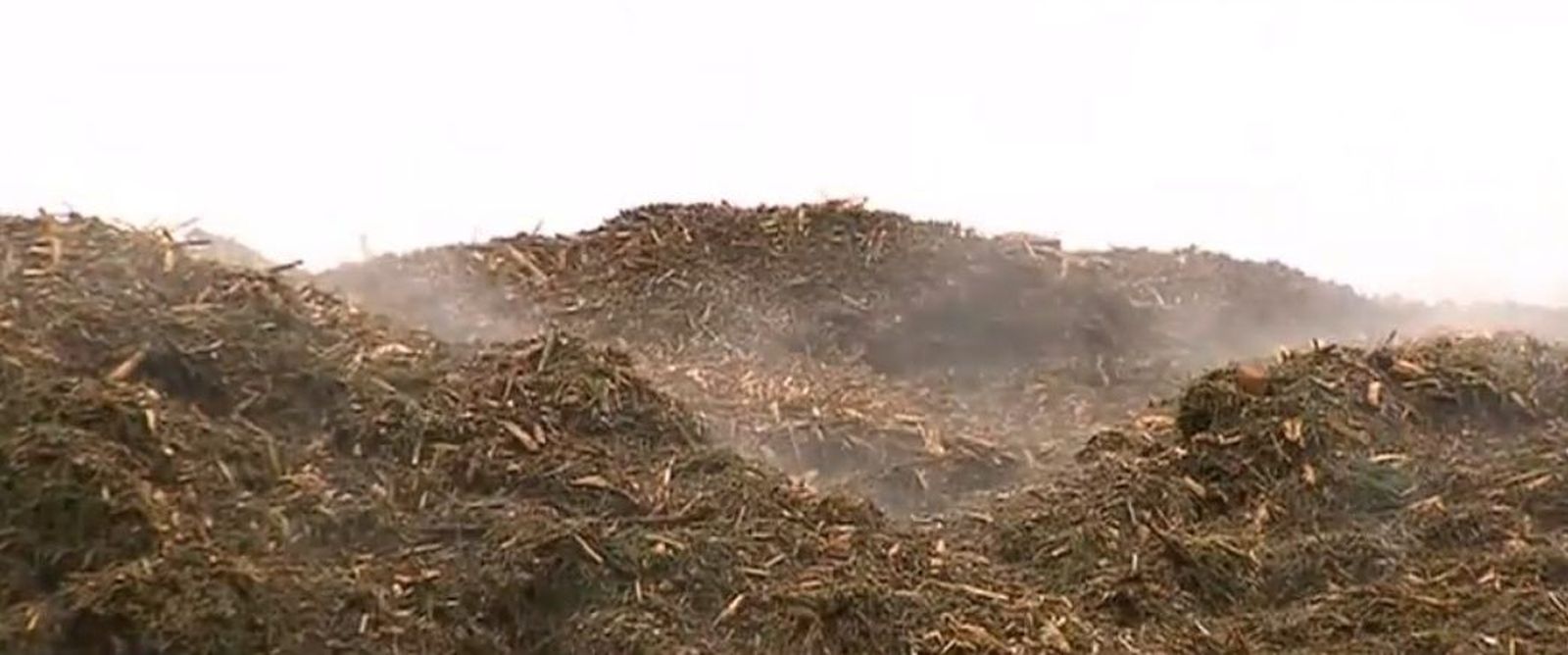 Las plantas de compostaje de Madrid, a tope para procesar los estragos de Filomena